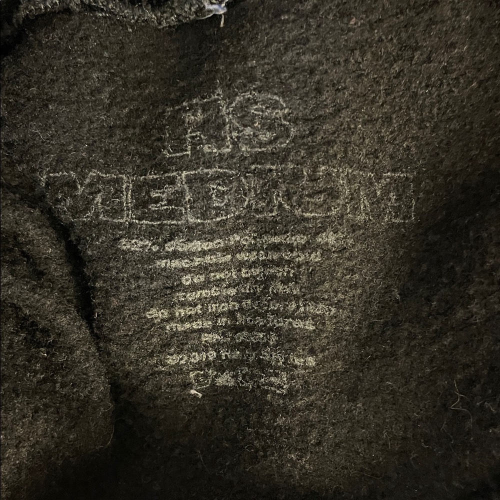 Harry Styles Champion Black Hoodie - Picture 2 of 4